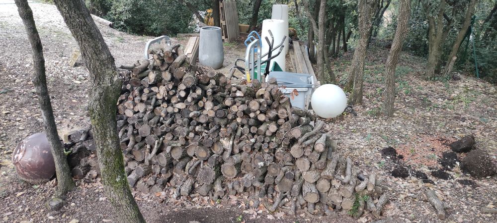 bois de coupe Jardin