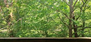  Appartement  vendre 2 pices 46 m