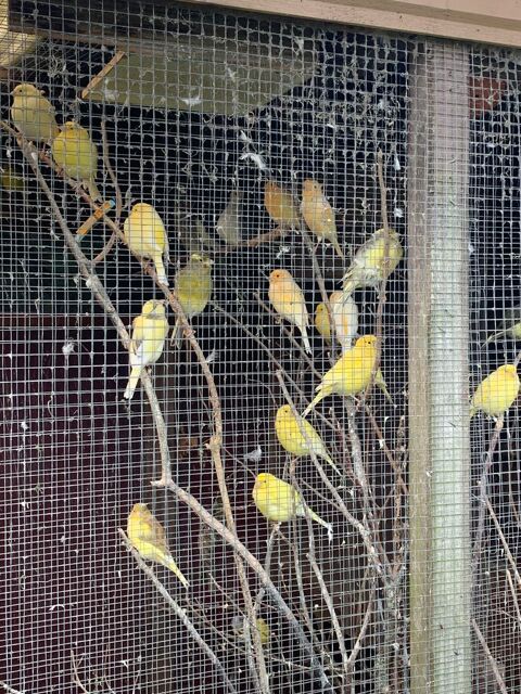 Canaris 25 14400 Bayeux