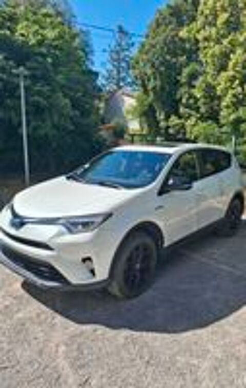 RAV 4 Black &eacute;dition 2018 occasion 59189 Steenbecque