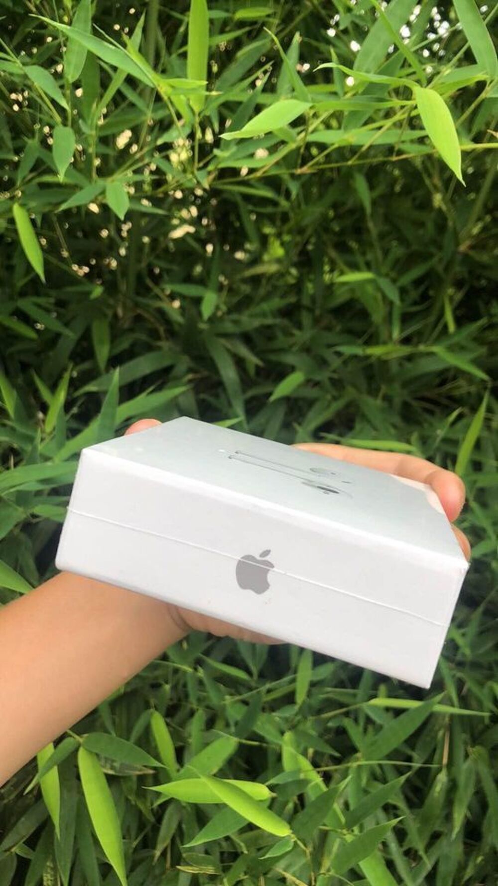 AirPods Audio et hifi