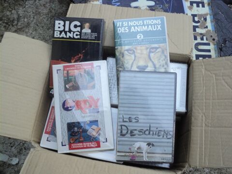 Lot Cassette VHS Neuves 10 Loches (37)