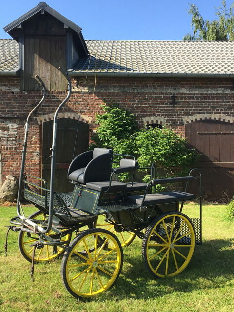 Voiture cheval type marathon loisir 1500 Croix-Fonsommes (02)