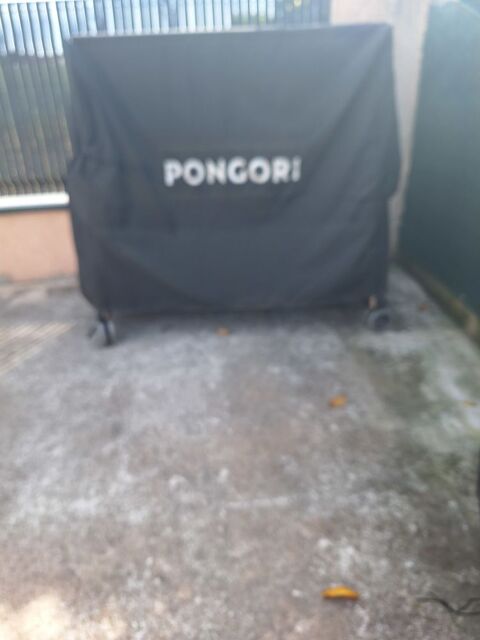 table de ping pong 0 Mions (69)