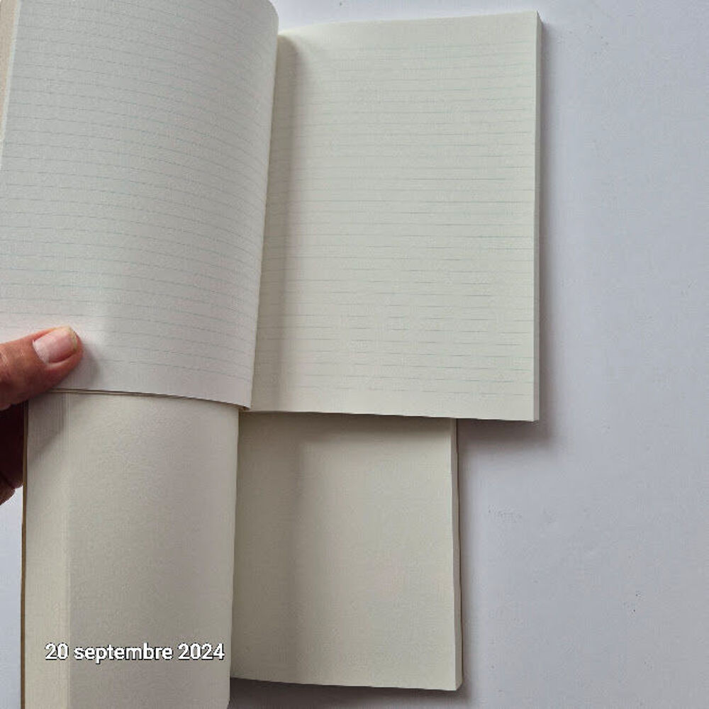 Lot de 2 carnets fran&ccedil;ais de qualit&eacute; pour dessins, notes, po Décoration