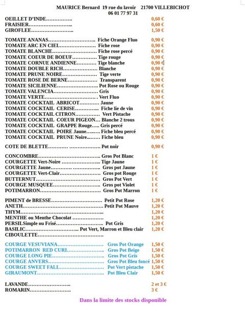 Plants de tomates 1 Villebichot (21)