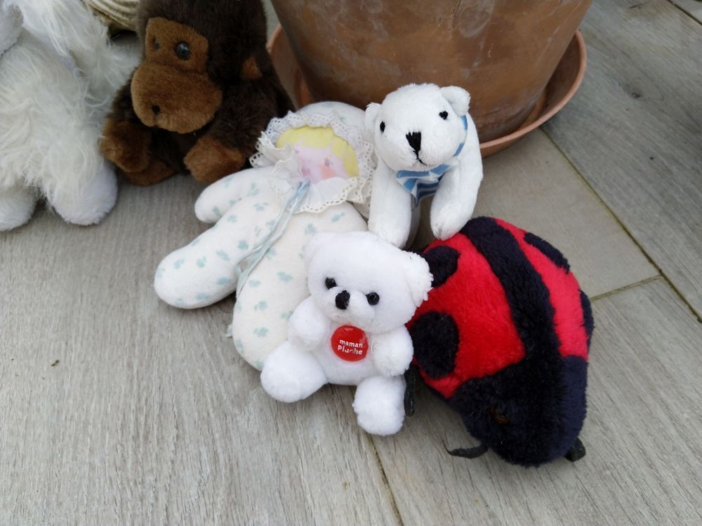 Peluches Jeux / jouets