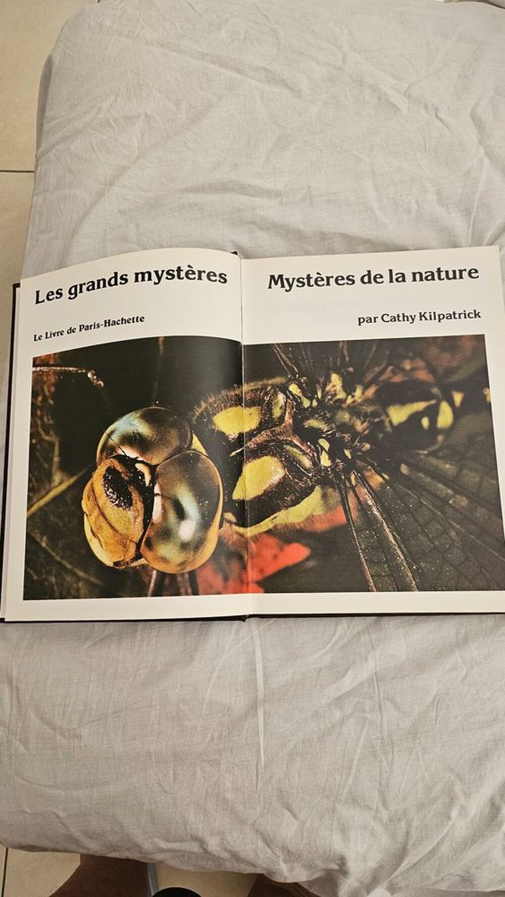 Encyclop&eacute;die 