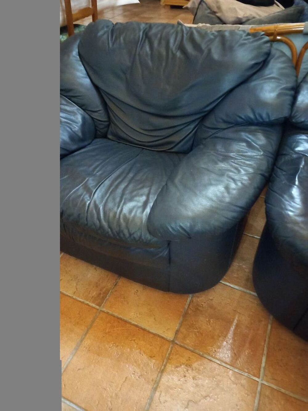 FAUTEUILS EN CUIR ET BIBLIOTHEQUES Meubles