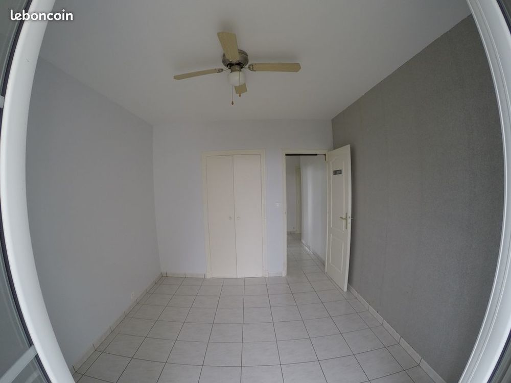 Location Appartement 50 M2 à partir du 1er octobre Saint-cyr-sur-loire