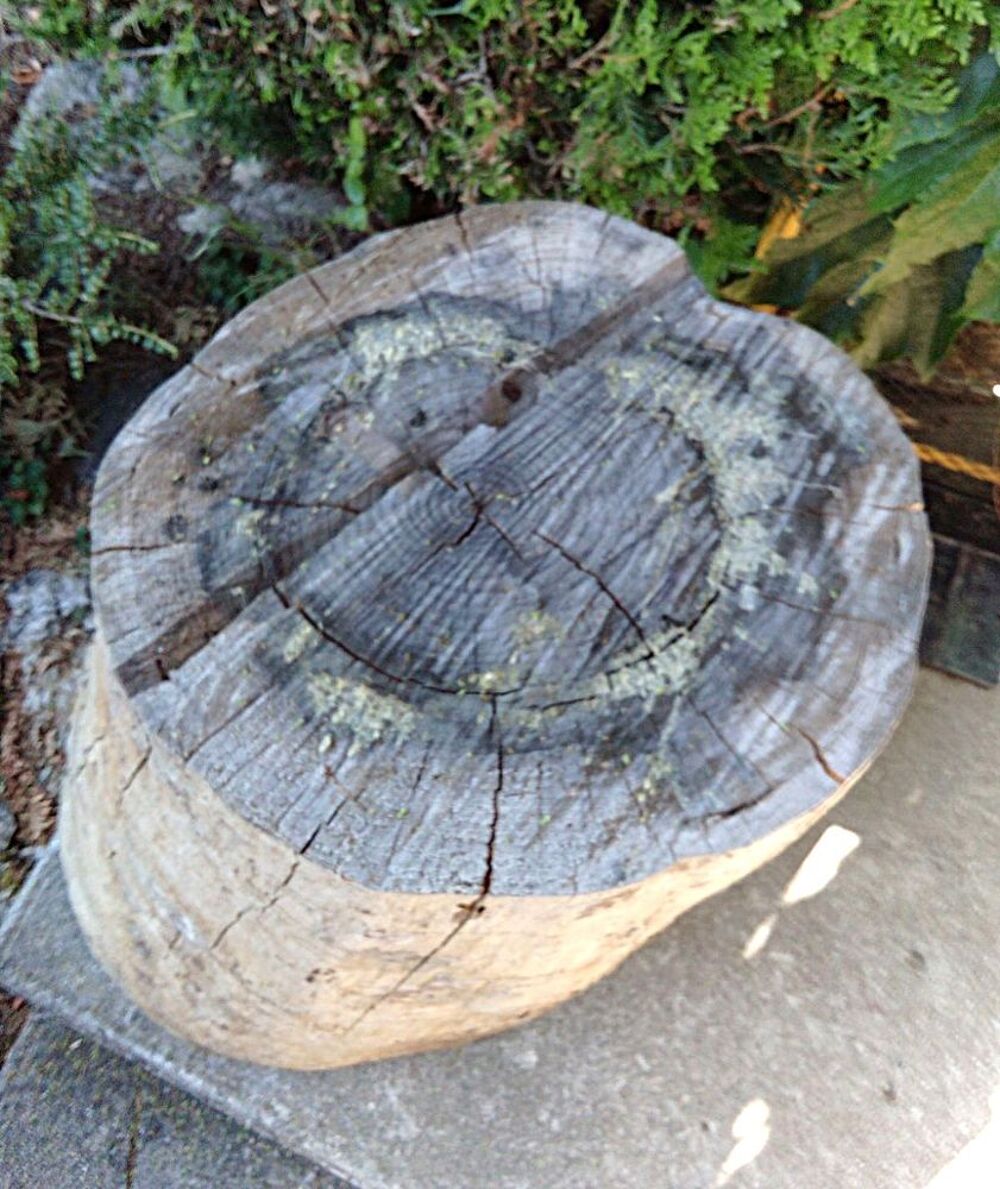 Gros rondin pour couper du bois ou support d'enclume Bricolage