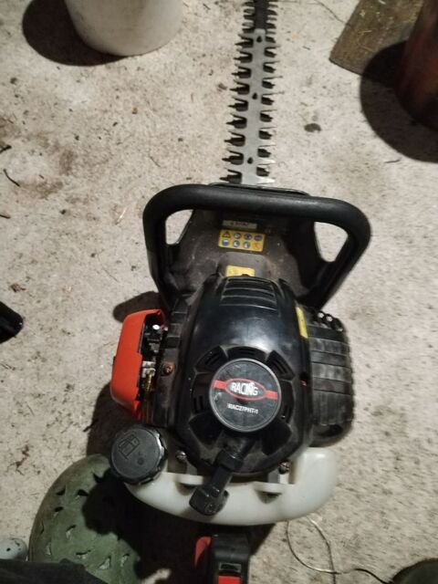 Taille haie thermique 50 Villeneuve-sur-Allier (03)