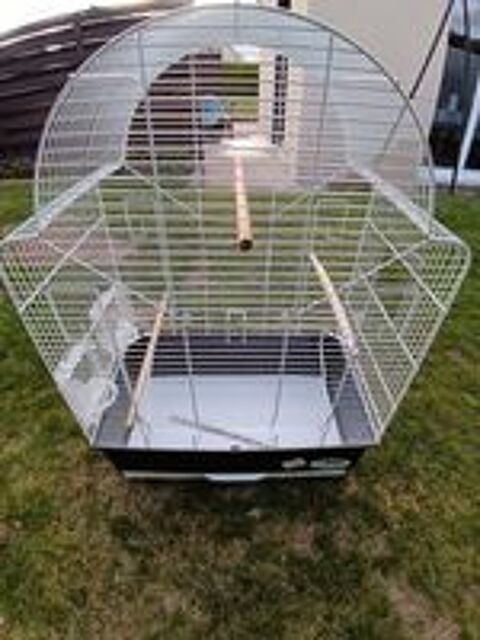   Cage oiseau 