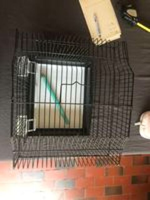   CAGE de transport et/ou hôpital 