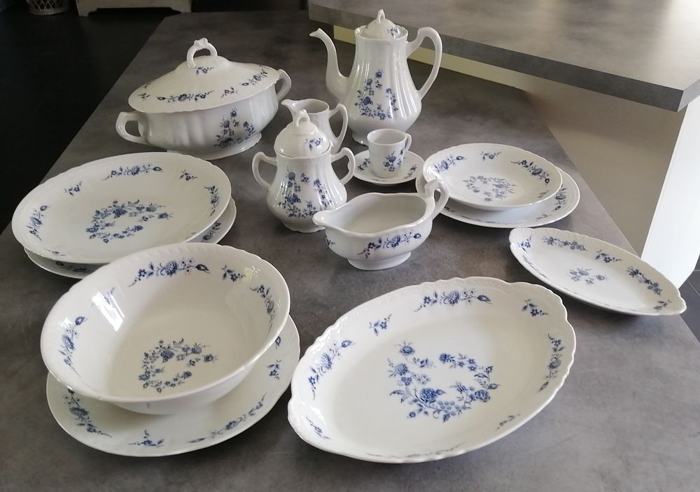 Service de table en porcelaine de couleuvre Cuisine