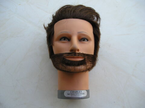 T�te � coiffer  ?  homme  avec  barbe -  mod�le CHARLES
50 Sept�mes-les-Vallons (13)