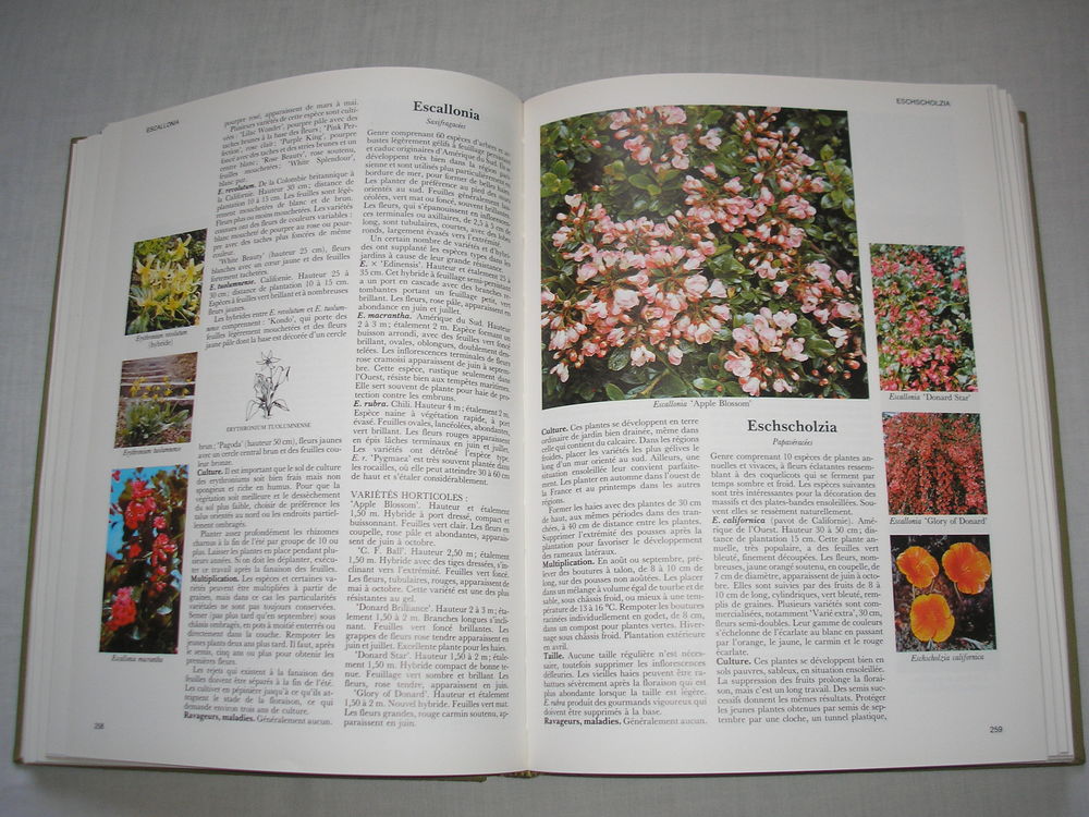 .Encyclop&eacute;die des fleurs et plantes de jardin Livres et BD
