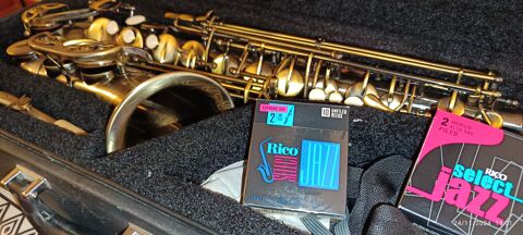 Saxophone alto 200 Saint-Vallier-de-Thiey (06)