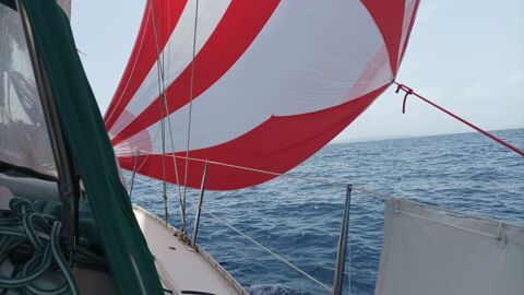 Voiliers Monocoque 1999 occasion Velone-Orneto 20230