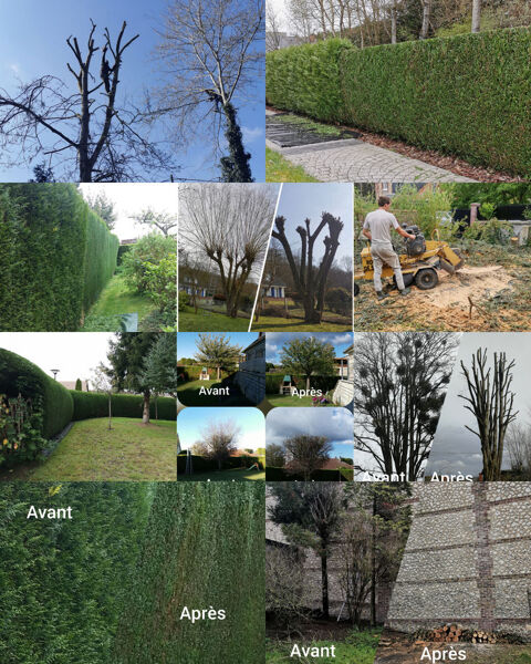 Élagueur 0 76000 Rouen