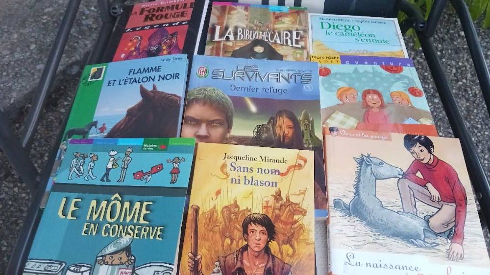 Livres jeunesse et ados/ plus de 80 livres Livres et BD