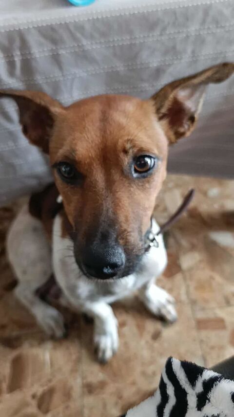 Aya, la caline 300 21000 Dijon