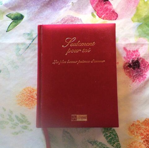 SEULEMENT POUR TOI Les plus beaux poèmes d'amour  Bubry (56)