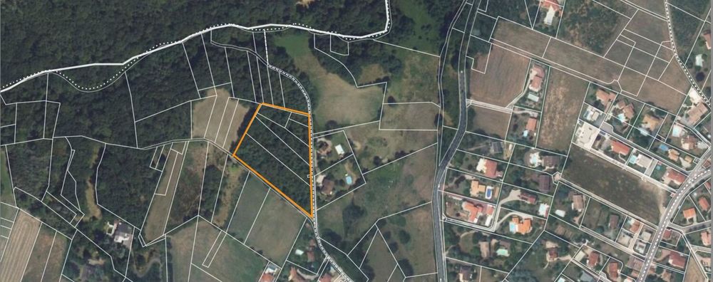 Vente Terrain Terrain boisé de 9 000 m² ? Brindas (69) ? Zone naturelle Saint-didier-au-mont-d'or