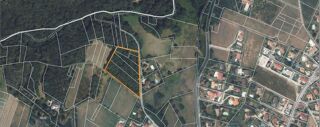  Terrain à vendre 9000 m²