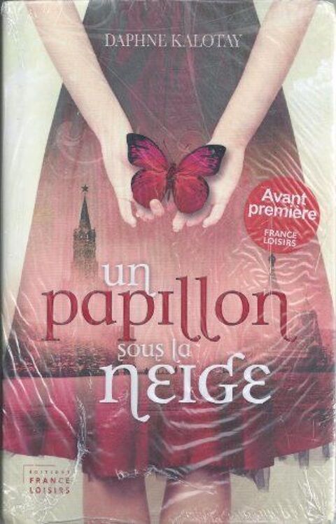 Un papillon sous la Neige(envoi gratuit) 6 Bar-sur-Aube (10)
