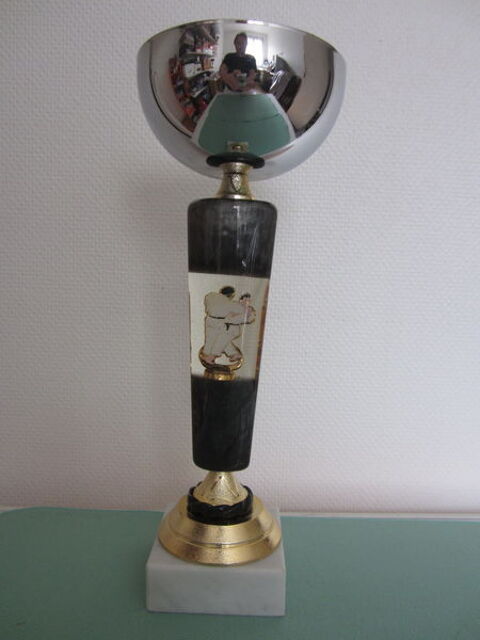 COUPE TROPHE  JUDO  5 Sassenage (38)