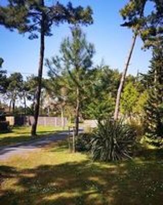  2017 occasion 85270 Saint-Hilaire-de-Riez