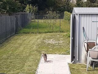  Appartement à louer 2 pièces 31 m² Vouziers