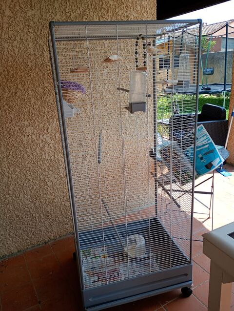 Cage d oiseaux 100 84150 Jonquires
