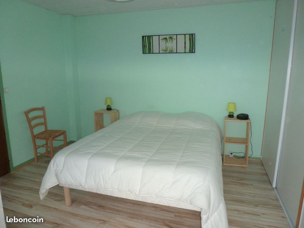   Grand appartement Massif du Sancy, idéal famille Vacances  / Offres de location 