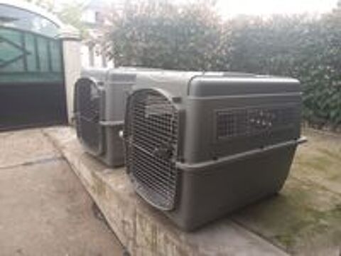   1 cage de transport pour grands chiens 