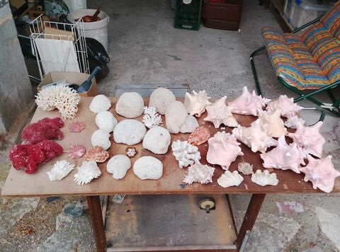 min�raux collection 235 Port-de-Lanne (40)