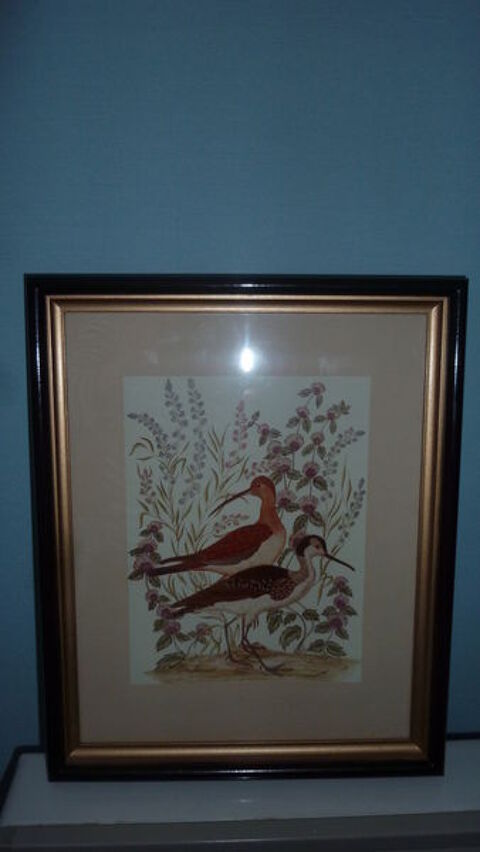 CADRE gravure oiseaux 3 Doussard (74)