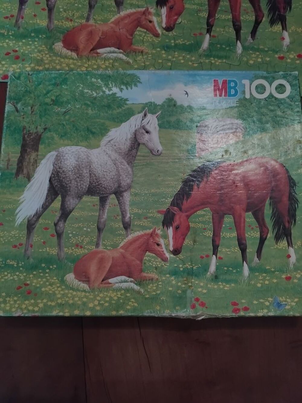 Puzzle 100 pieces Jeux / jouets