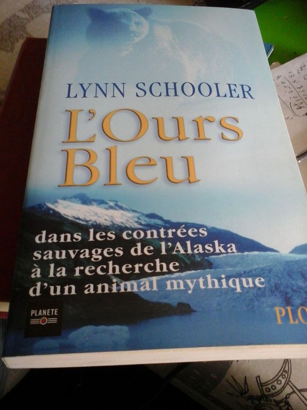 L'ours bleu de LYNN SCHOOLER Livres et BD