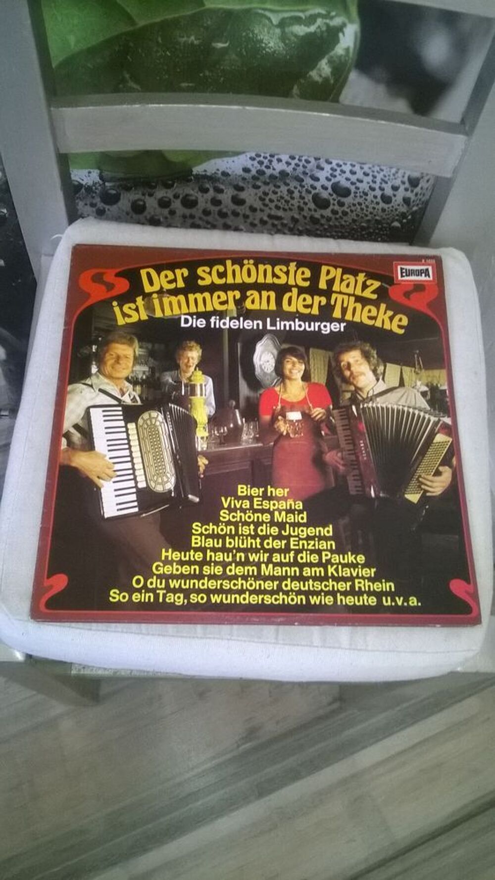 Vinyle Die Fidelen Limburger
Der Sch&ouml;nste Platz Ist Immer A CD et vinyles