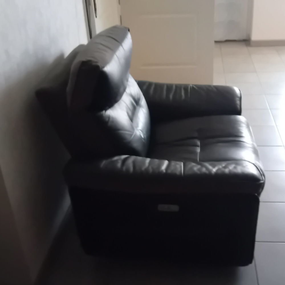 Fauteuil &eacute;lectrique relaxant Meubles
