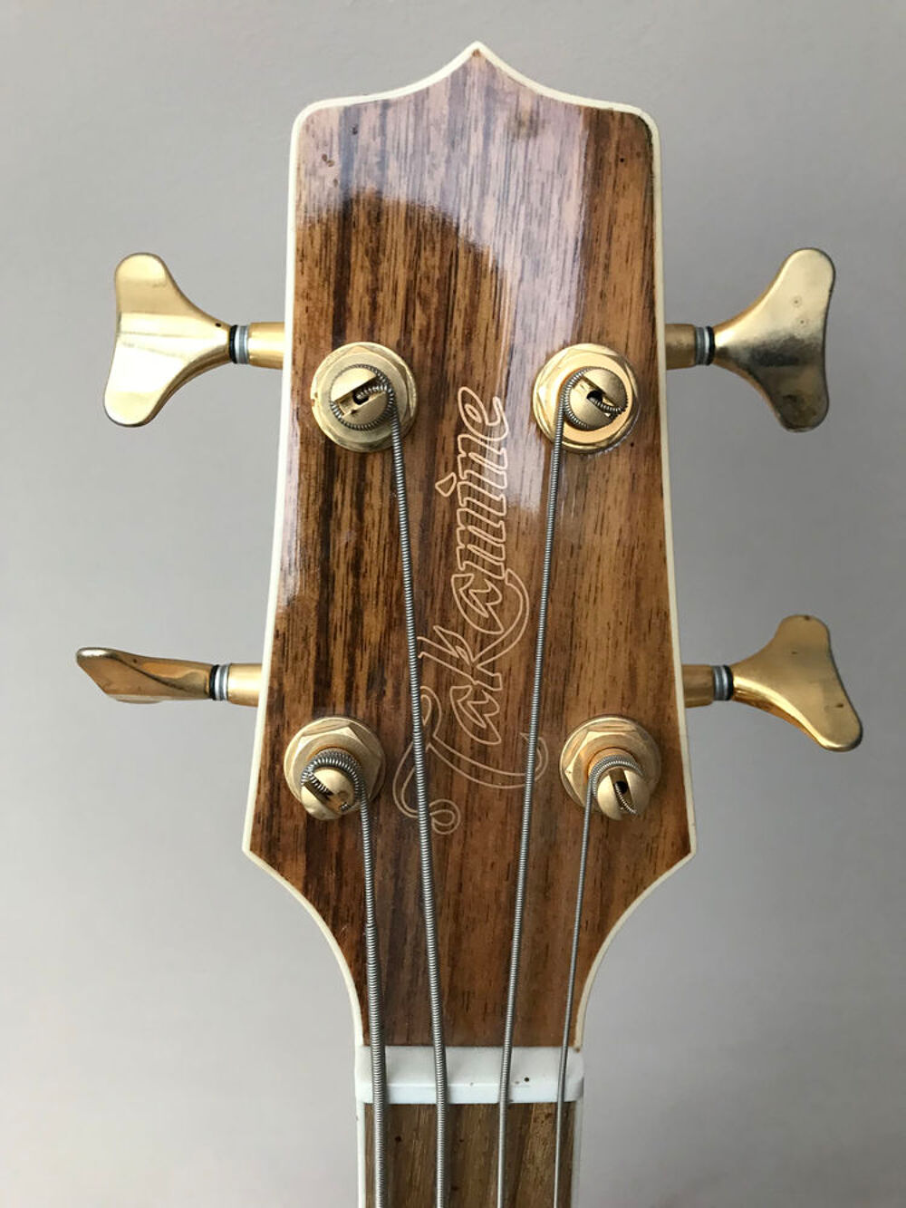 Basse &eacute;lectro acoustique takamine Instruments de musique