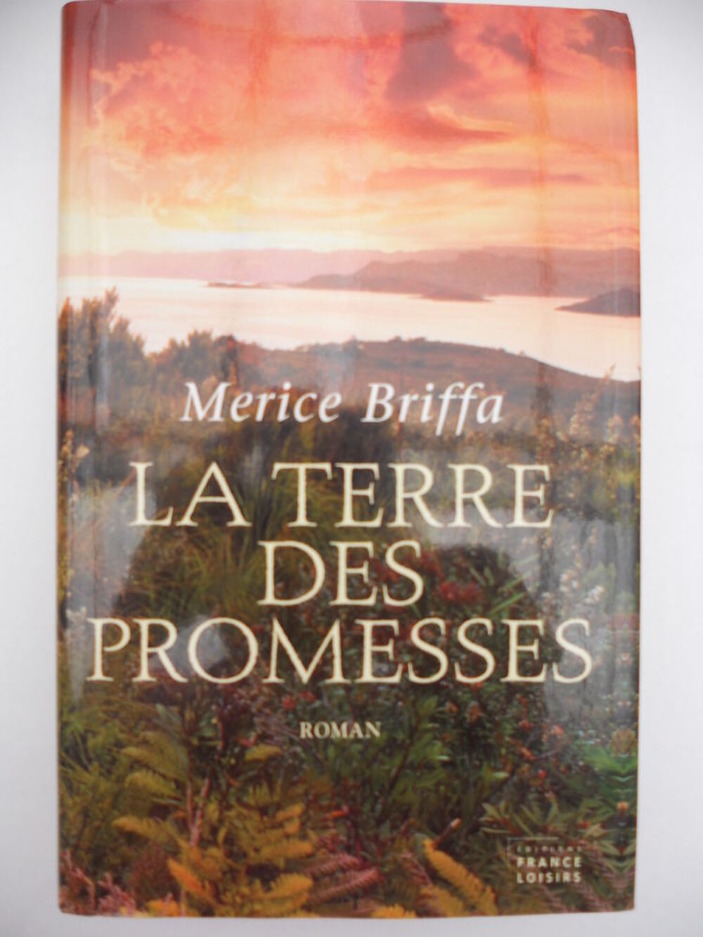 La terre des promesses - Merice BRIFFA Livres et BD