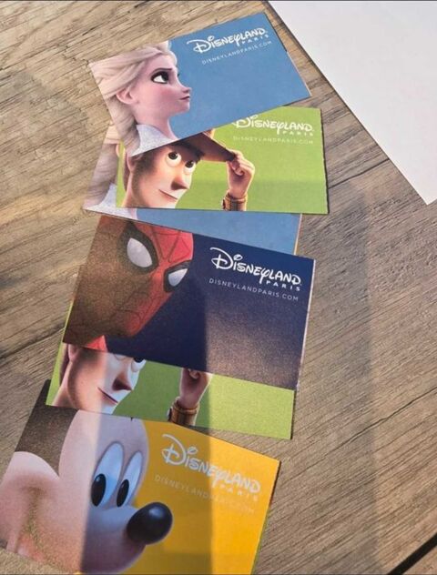 Disneyland 1j 2 parcs 45 Saint-Brieuc (22)