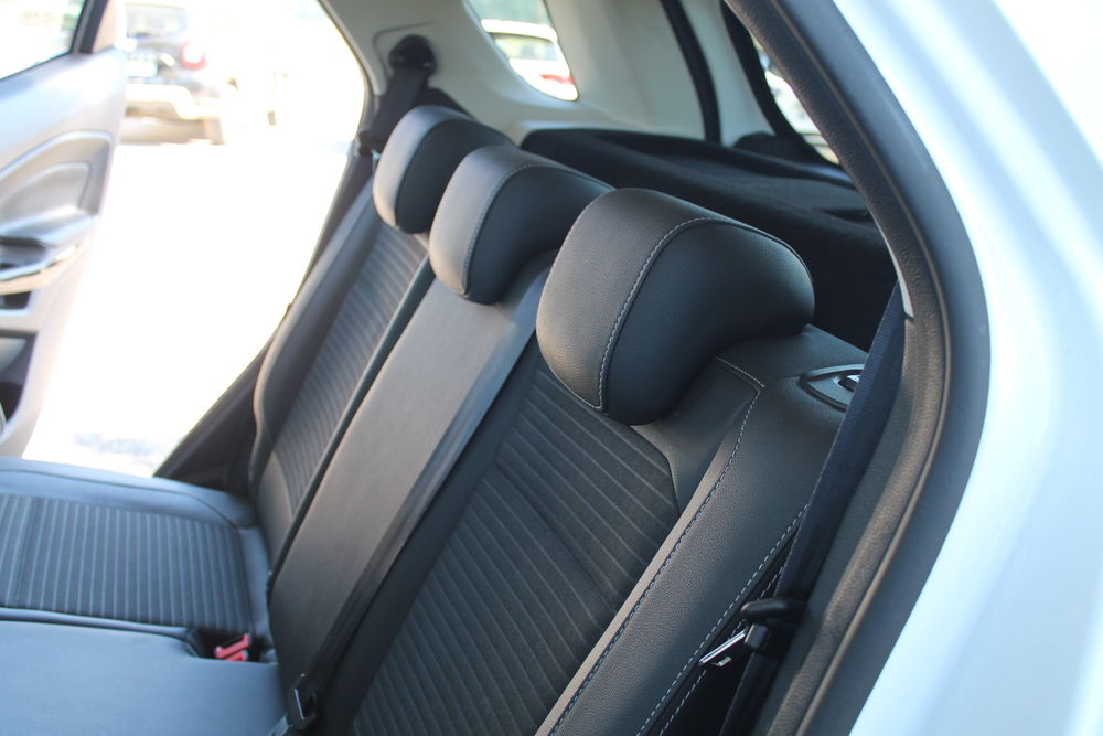 Ecosport EcoSport 1.0 EcoBoost 125ch S&S BVM6 Titanium 2021 occasion 20260 Calvi