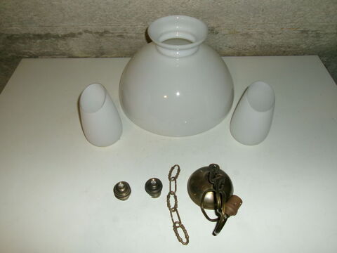 Abat-jour en Opaline et accessoirs en laiton 12 Fougères (35)