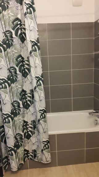  Appartement � louer 3 pi�ces 58 m�