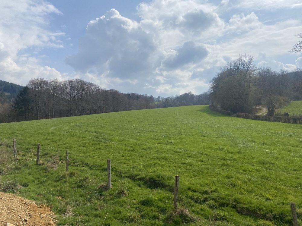 Vente Terrain Terrain constructible 1241m² viabilisé ? vue dégagée Ferrières-sur-sichon