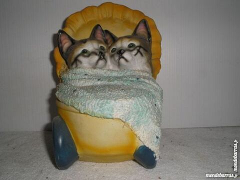 Petits chats dans leur dodo poucette. 10 Le Tremblay-sur-Mauldre (78)